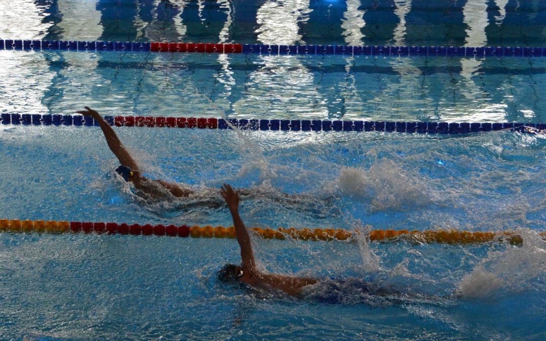 Saisonabschluss der Wettkampfschwimmer/innen