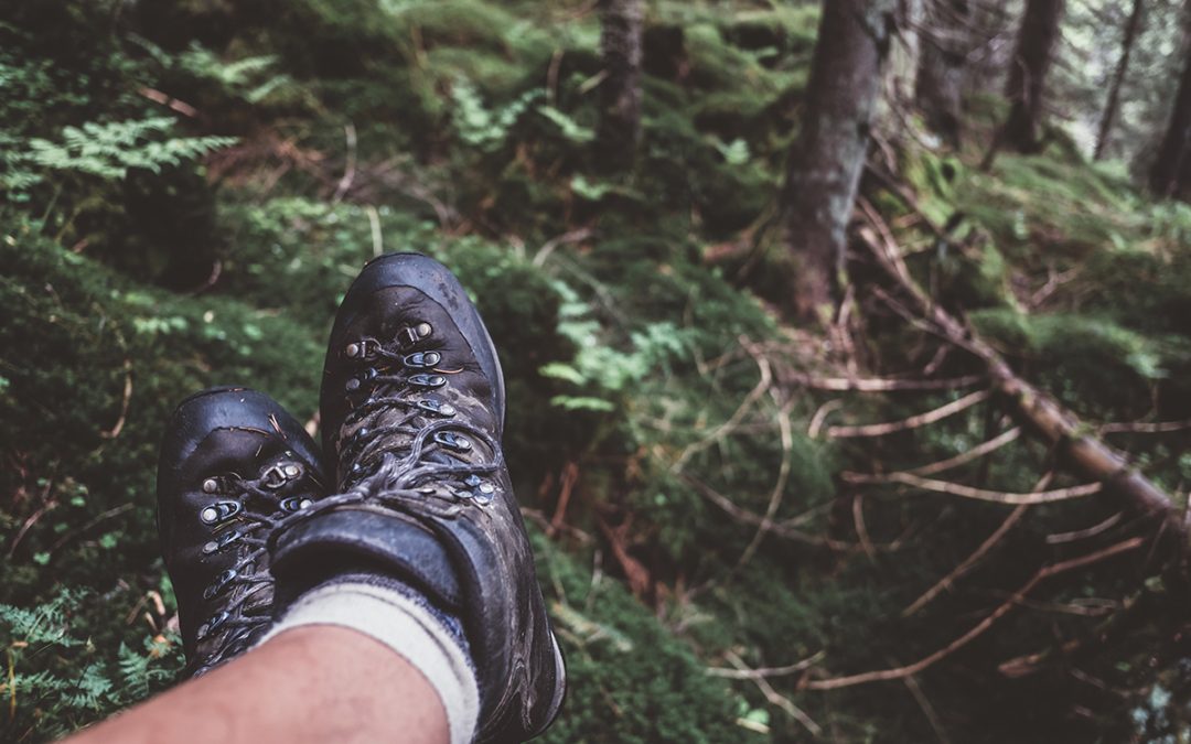 Lasst uns wieder die Wanderschuhe schnüren!