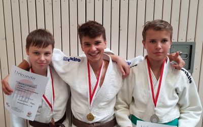 ‼🥋🏅🥈🥉 Gold, Silber und Bronze bei den Bezirksmeisterschaften U15