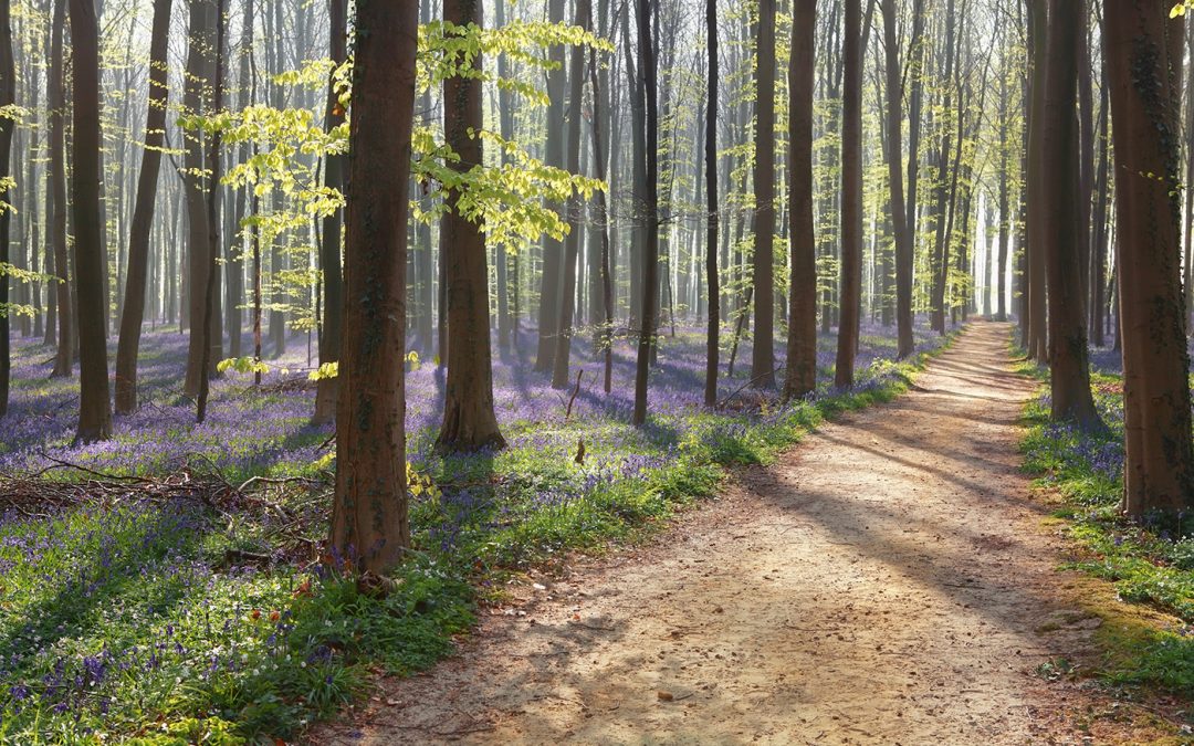 Schöne Wanderung für sportliche Leute