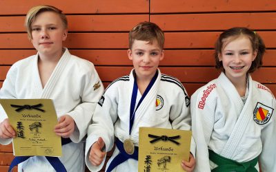 Gold bei den Judo Bezirksmeisterschaften