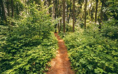 Wir wollen wieder wandern