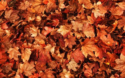 Geschäftsstelle während der Herbstferien geschlossen