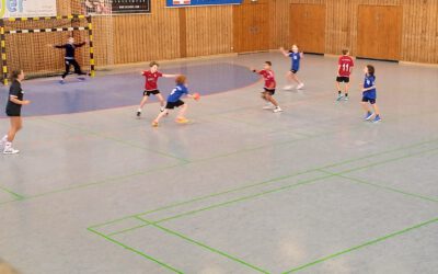 E-Jugend: Schnelle Spiele und viele Tore in Teningen