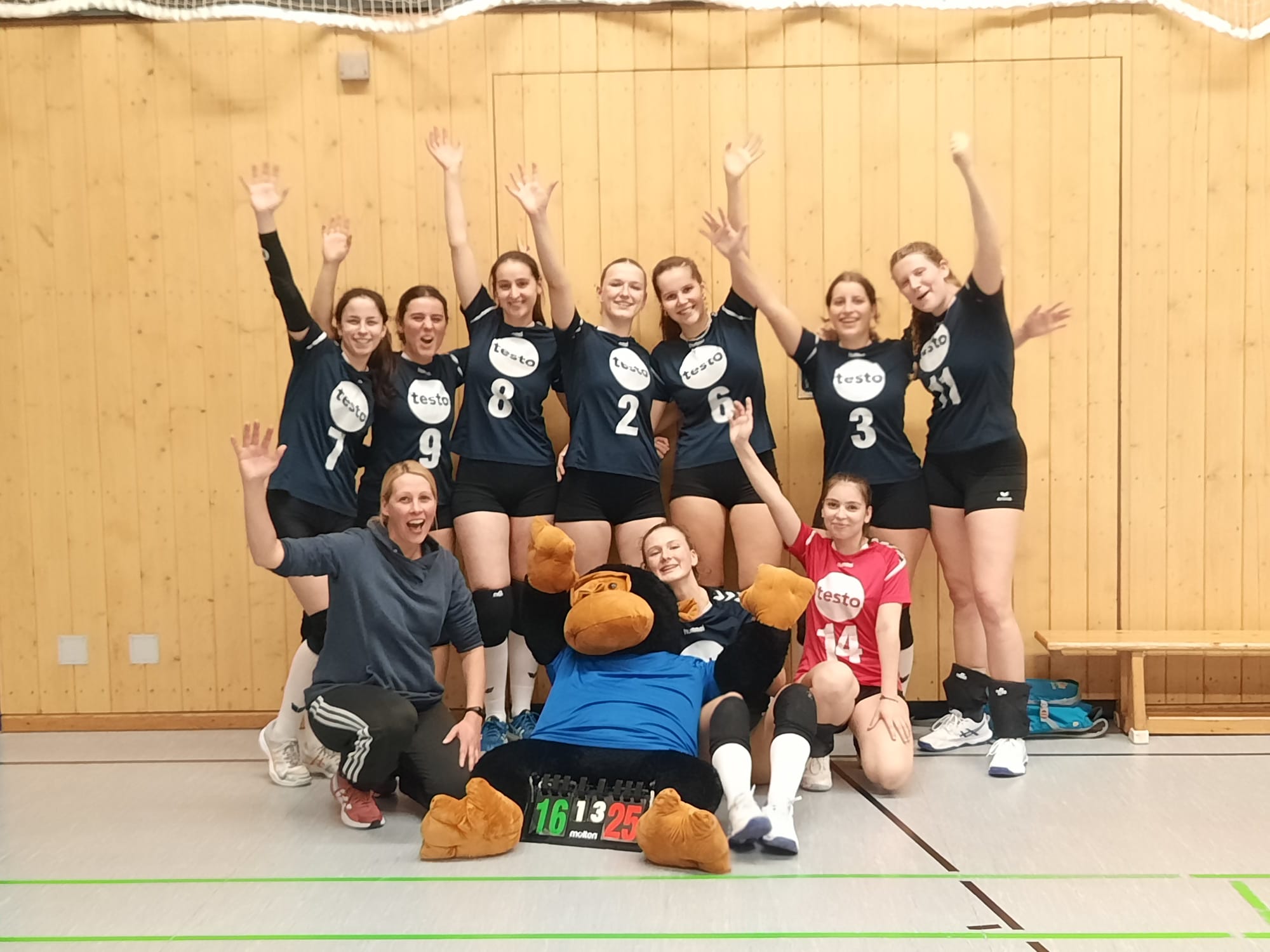 Volleyball Damen II