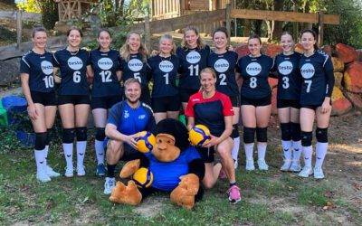 Volleyball – Kreisliga Nord Damen 2