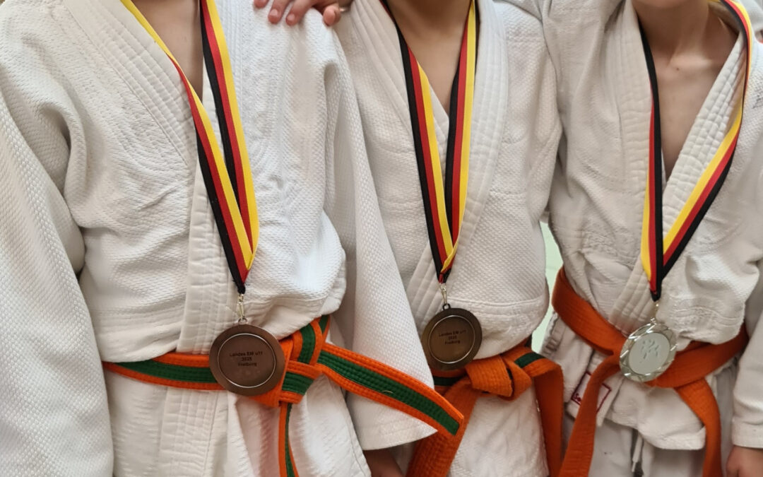 Silber und Bronze bei den Judo Landesmeisterschaften